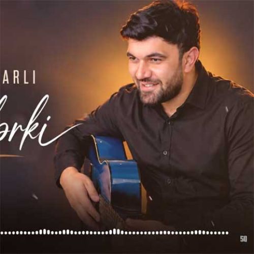 صابر قفرلی ددیلر کی